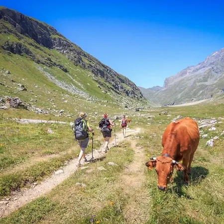 – Superbe Chaleureux Vue Montagne